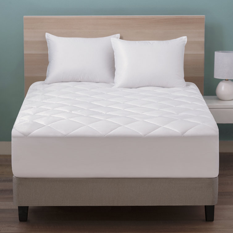 Alwyn Home Moore 1'' Mattress Pad Wayfair